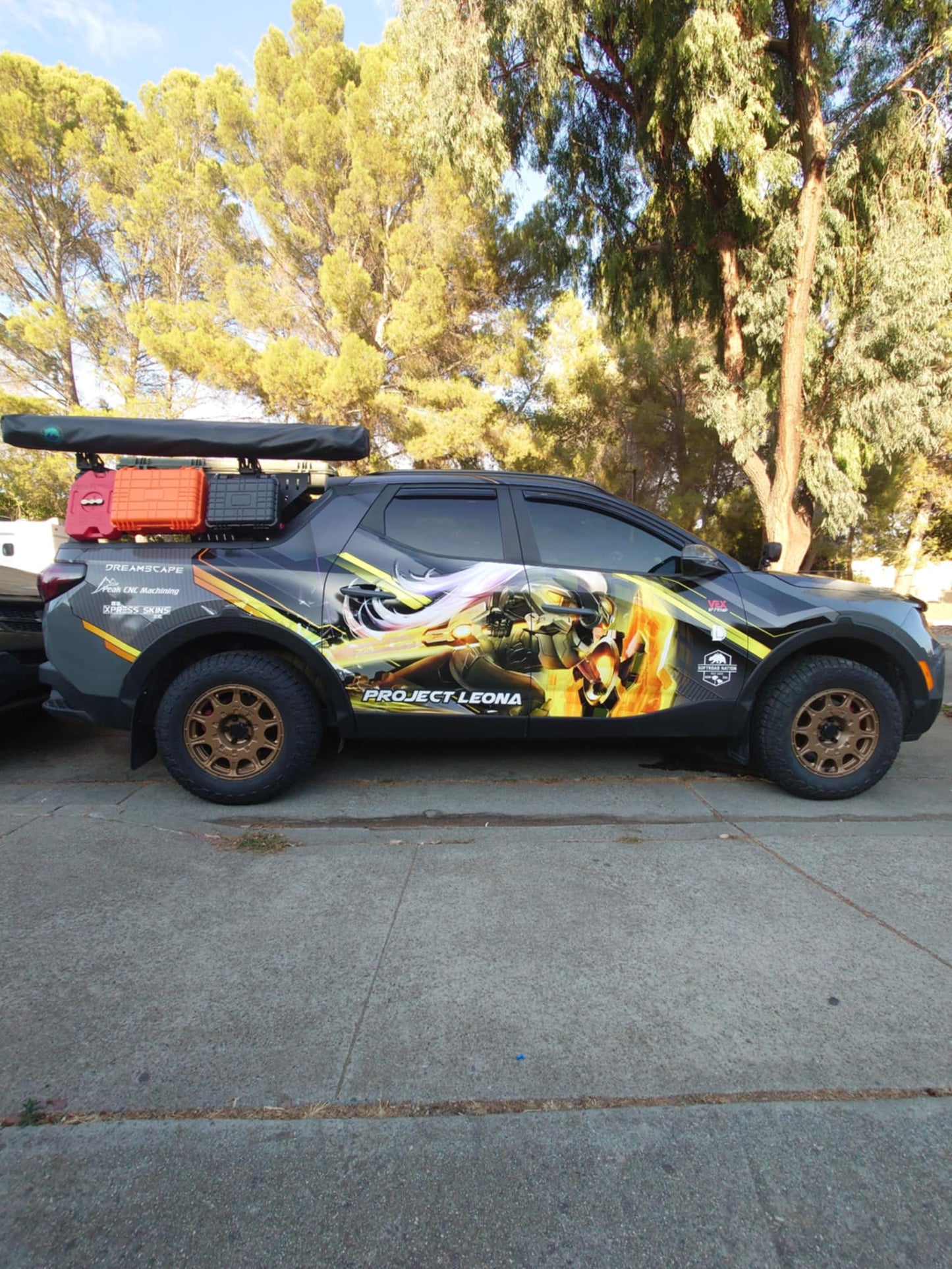 Hyundai Santa Cruz Rack